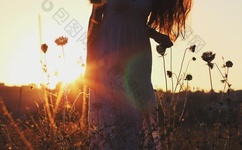 蜜芽768.MON一区忘忧草欢迎你